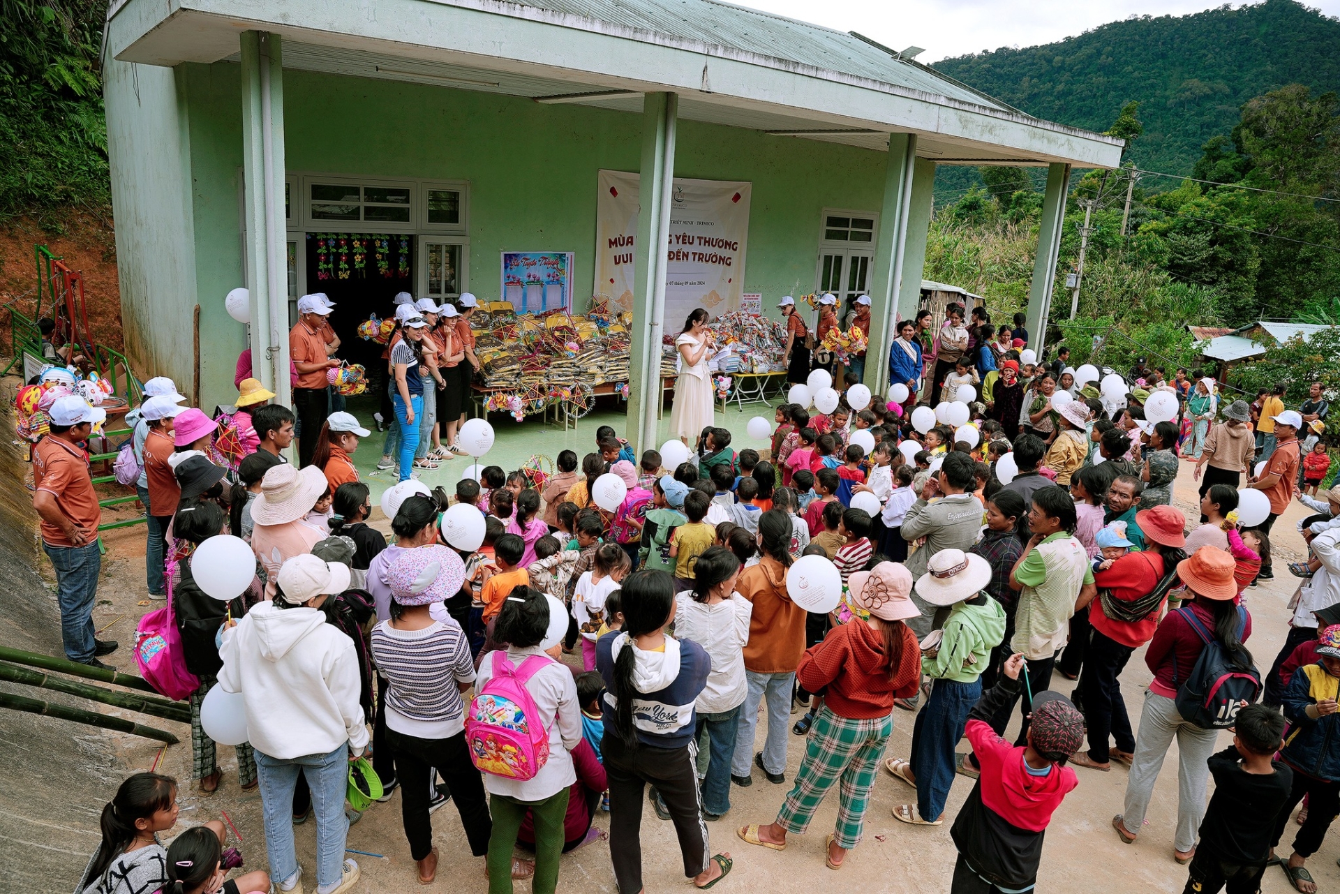 sâm ngọc linh TRIMICO